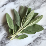 Sage Oil