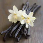 Vanilla Oil